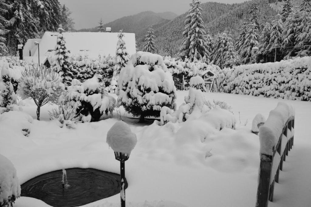 Chalets Adriana Demanovska Dolina Exteriör bild
